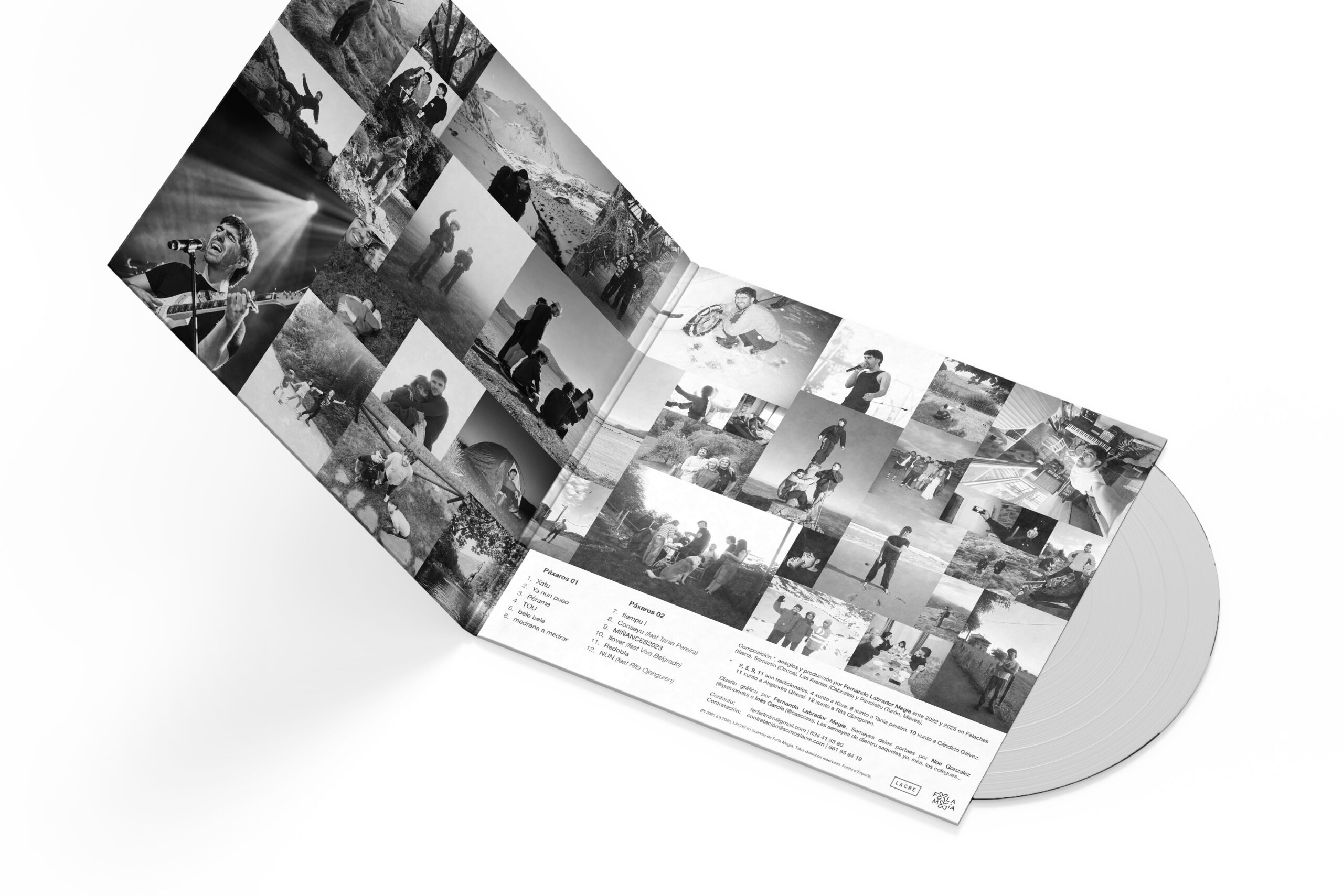 PÁXAROS VINILO MOCKUP - ABIERTO 1