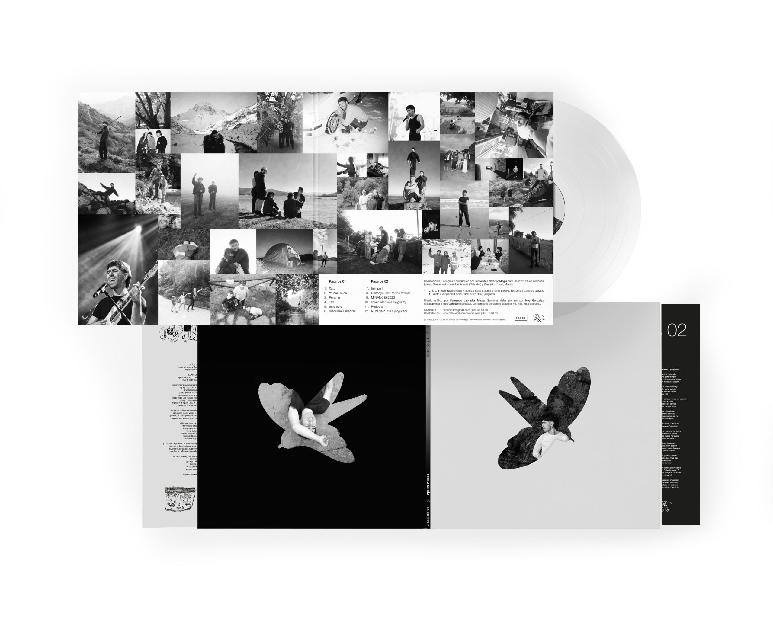 PÁXAROS VINILO MOCKUP - TODO