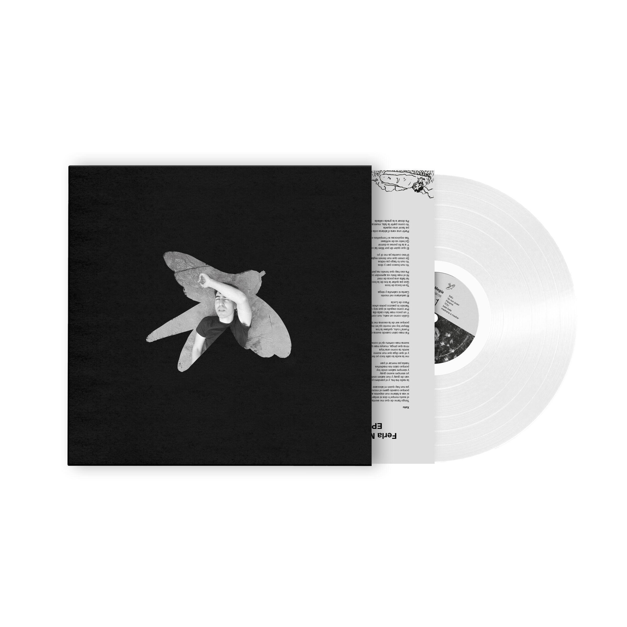 PÁXAROS VINILO MOCKUP - frente